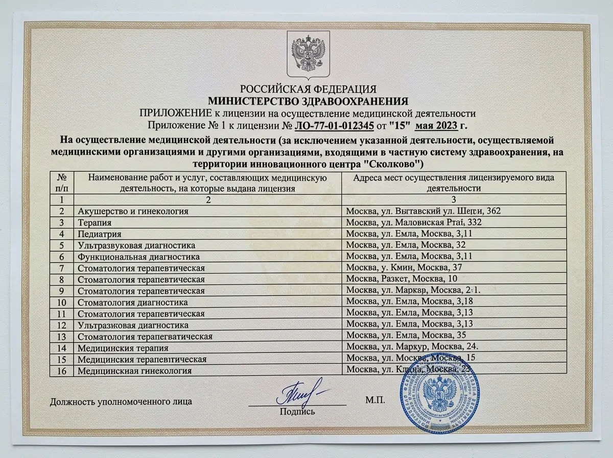 Приложение к лицензии на медицинскую деятельность — перечень разрешённых видов работ и услуг, официальный бланк